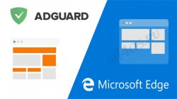      Windows 10 (Microsoft Edge)