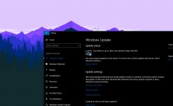   Windows 10  